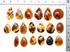Amber Cabochons (Indonesia)